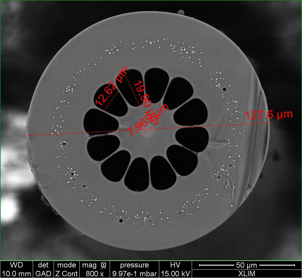 Fibre incluant des nanoparticules de Palladium
