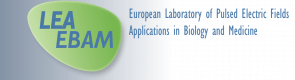 LEA EBAM logo