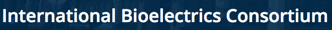 IBC logo