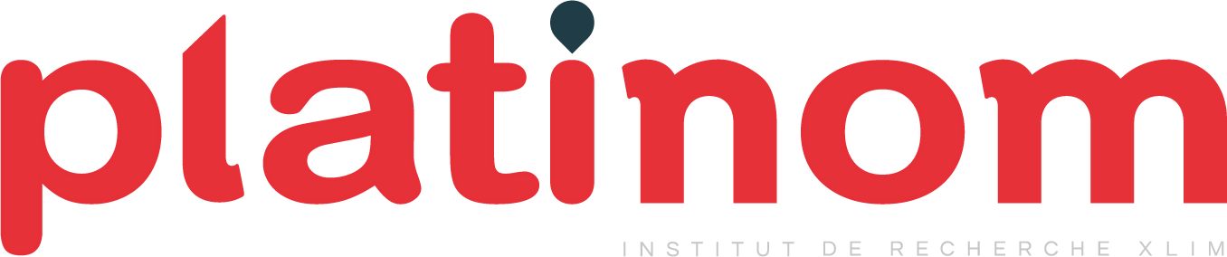 PLATINOM logo