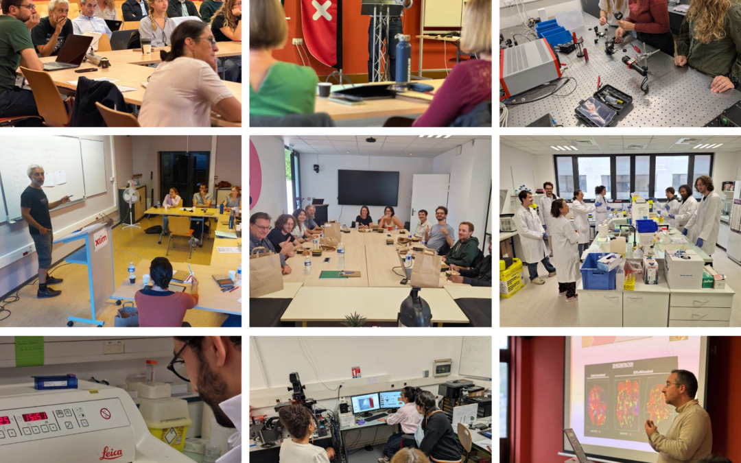 Retour sur l’ANF Opti-Bio : une synergie réussie entre biologie et physique à Limoges